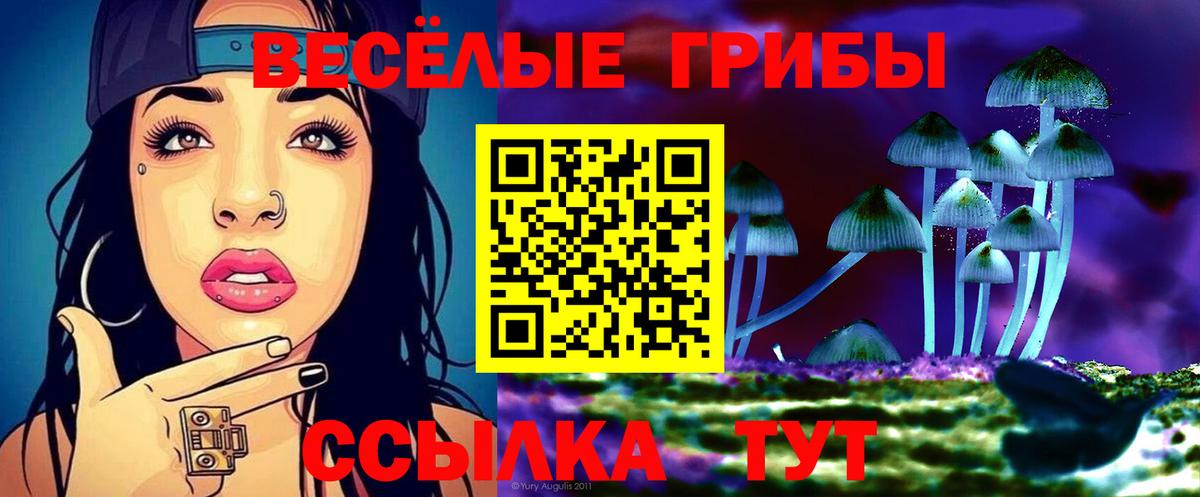 Строитель  Галлюциногенные грибы GOLDEN TEACHER  Вход с VPN 